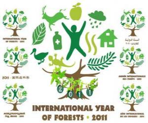 Puzzle 2011 Διεθνές Έτος Δασών